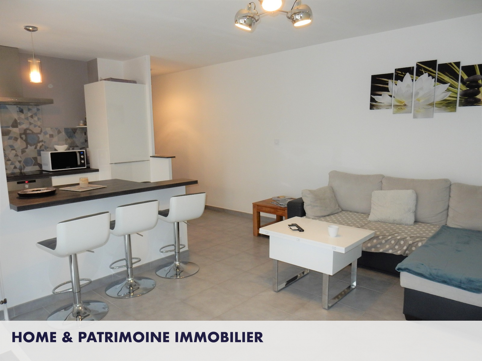 Image_3, Appartement, Thonon-les-Bains, ref :GZVAP240001341